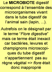 Miocrobiote définition