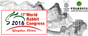 Logo Congrès Qingdao