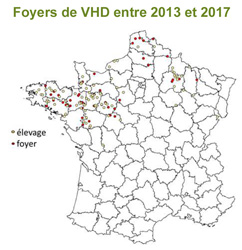 VHD en France