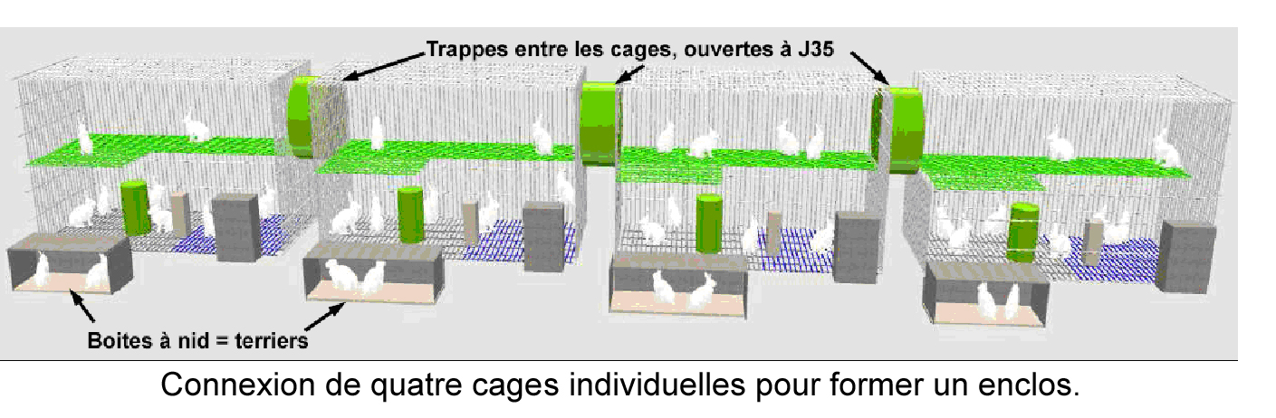 schéma 4 cages