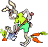 lapin rabbit récolter 150 x 146 pixels