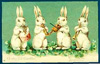 lapin rabbit musiciens 362 x 230 pixels
