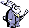 lapin rabbit observer 230 x 227 pixels