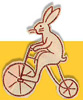 lapin rabbit cycliste 189 x 227 pixels