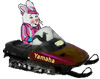 lapin rabbit moto-neige 160 x 126 pixels