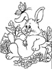 lapin rabbit repos 189 x 250 pixels