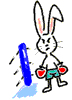 lapin rabbit boxer 240 x 334 pixels
