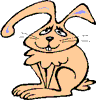 lapin rabbit162 x 157 pixels