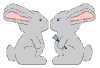 Lapin rabbit Reproduction & Love 161 x 109 pixels