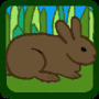 lapin rabbit 90 x 90 pixels