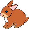 lapin rabbit 197 x 146 pixels