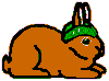 lapin rabbit 148 x 110 pixels