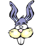 lapin rabbit 597 x 685 pixels