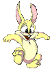 lapin rabbit 172 x 226 pixels