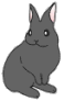 lapin rabbit 58 x 92 pixels