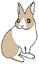 lapin rabbit 56 x 92 pixels