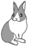 lapin rabbit 58 x 91 pixels