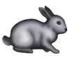 lapin rabbit 160 x 136 pixels
