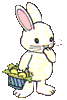 lapin rabbit 112 x 167 pixels