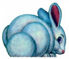 lapin rabbit 200 x 169 pixels