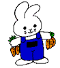 lapin rabbit 132 x 150 pixels