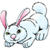 lapin rabbit 160 x 160 pixels