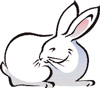 lapin rabbit 186 x 164 pixels