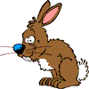 lapin rabbit 292 x 292 pixels