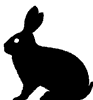 lapin rabbit 230 x 246 pixels