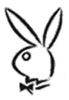 lapin rabbit 104 x 150 pixels