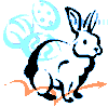 lapin rabbit 190 x 188 pixels