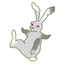 lapin rabbit 300 x 300 pixels