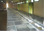 intérieur de bâtiment d'élevage de lapins
