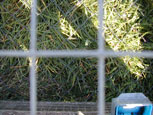 élevage de lapins en cages mobiles sur prairie