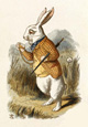 Le lapin blanc - Illustration d'Alice au pays des Merveilles de Lewis Caroll