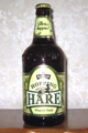 Lapin - Bière - Rabbit - Beer